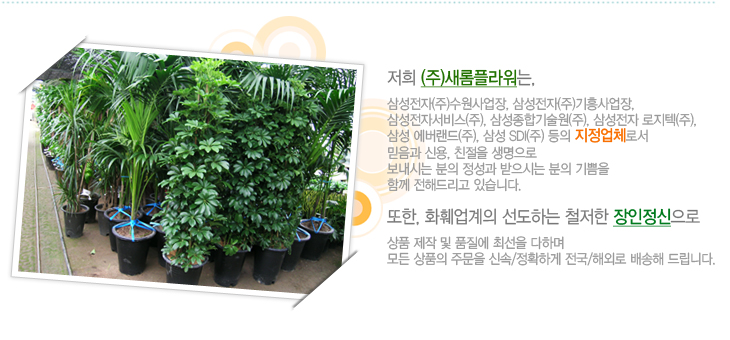 (��)�����ö�� �Ұ���01