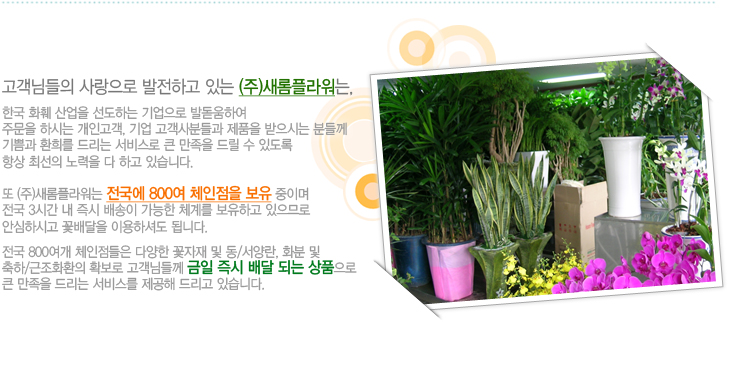 (��)�����ö�� �Ұ���02