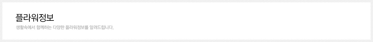 �ö������