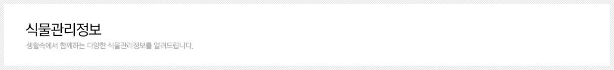 �Ĺ����� ����