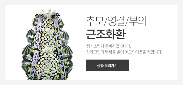 ������ ������ ����ȭȯ