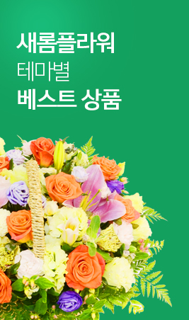 �����ö�� �׸��� ����Ʈ ��ǰ