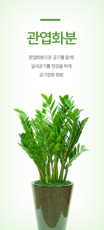 ����ȭ��