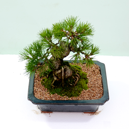 ����Ʈ��ǰ02