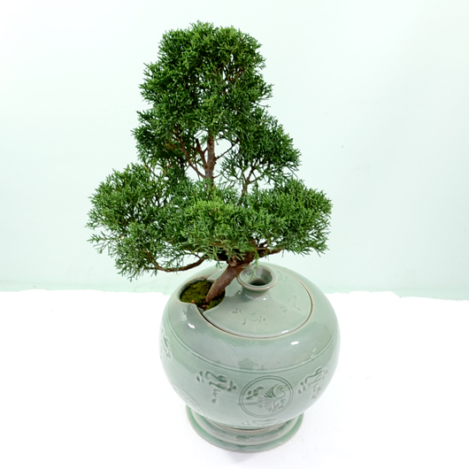 ����Ʈ��ǰ02