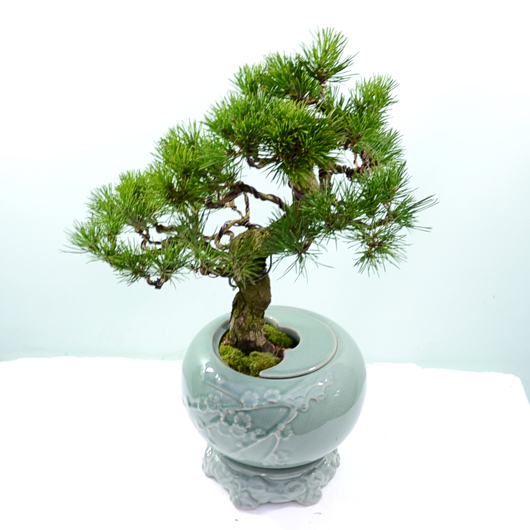 ����Ʈ��ǰ02