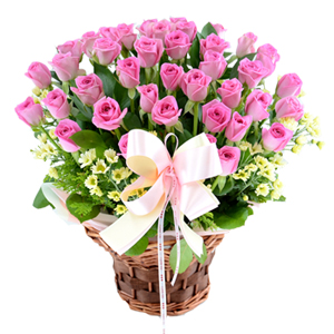 º£½ºÆ®»óǰ01