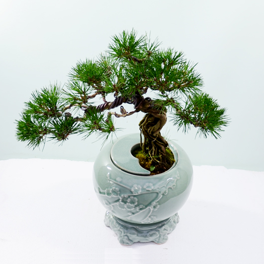 ����Ʈ��ǰ02