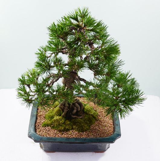 ����Ʈ��ǰ01