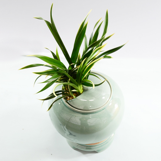 ����Ʈ��ǰ02