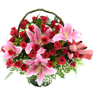 º£½ºÆ®»óǰ02