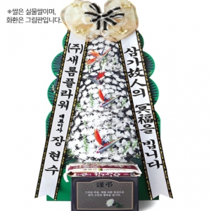 ����Ʈ��ǰ02