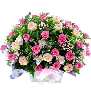 º£½ºÆ®»óǰ02