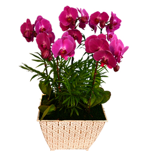 ����Ʈ��ǰ01