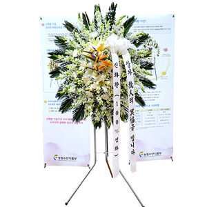 ����Ʈ��ǰ02