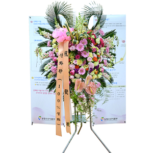 ����Ʈ��ǰ01