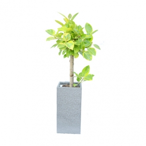 ����Ʈ��ǰ02