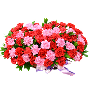 ����Ʈ��ǰ02