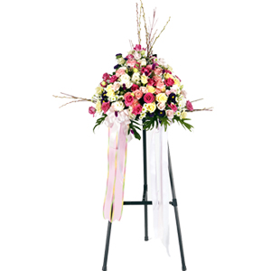 ����Ʈ��ǰ02