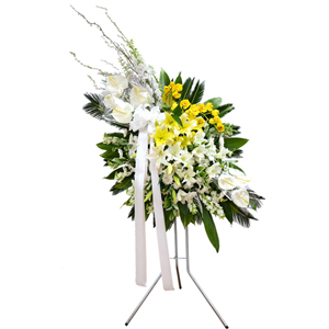 ����Ʈ��ǰ02