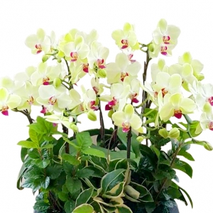 ����Ʈ��ǰ01