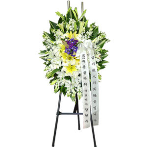 ����Ʈ��ǰ02