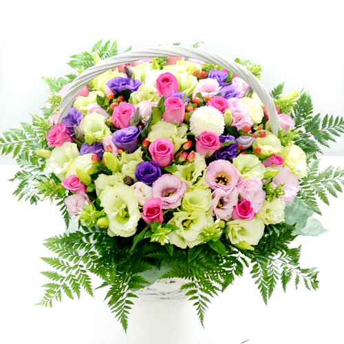 º£½ºÆ®»óǰ02