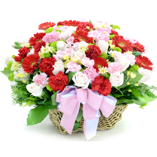 º£½ºÆ®»óǰ02