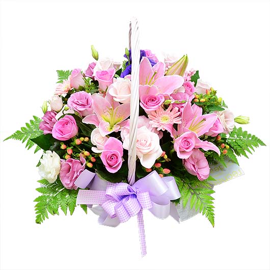 º£½ºÆ®»óǰ02