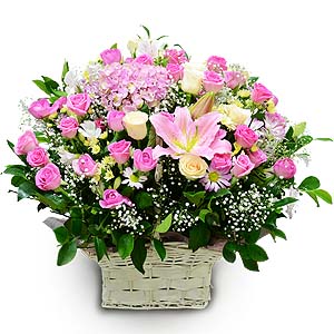 º£½ºÆ®»óǰ02