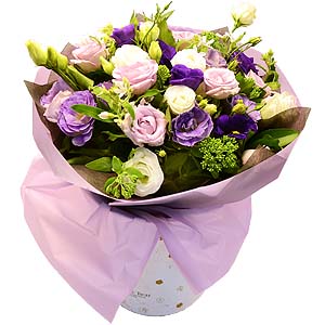 º£½ºÆ®»óǰ02