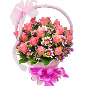 ����Ʈ��ǰ01