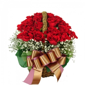 º£½ºÆ®»óǰ02