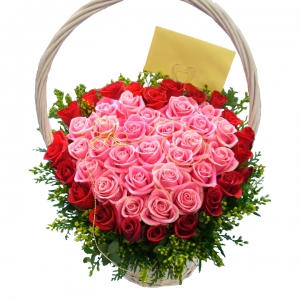 º£½ºÆ®»óǰ02