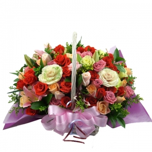 º£½ºÆ®»óǰ02