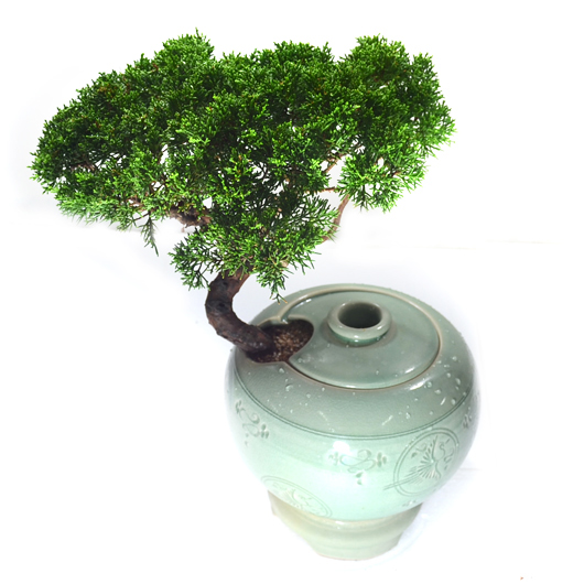 ����Ʈ��ǰ01