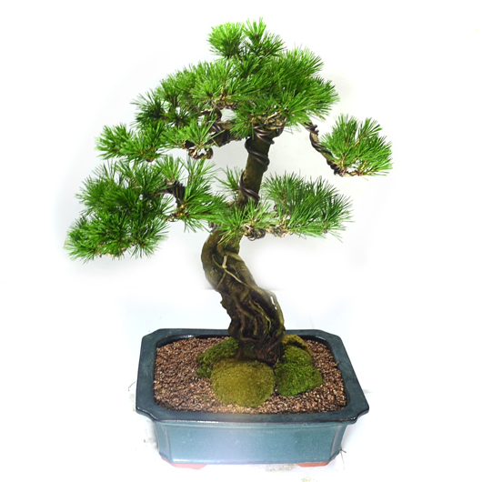 º£½ºÆ®»óǰ01