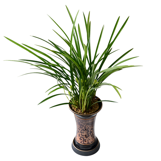 º£½ºÆ®»óǰ02