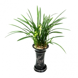 ����Ʈ��ǰ01