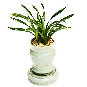 º£½ºÆ®»óǰ02