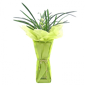 º£½ºÆ®»óǰ02