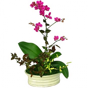 ����Ʈ��ǰ02