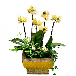 º£½ºÆ®»óǰ02