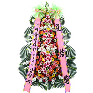 º£½ºÆ®»óǰ02