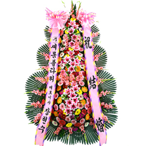 º£½ºÆ®»óǰ01