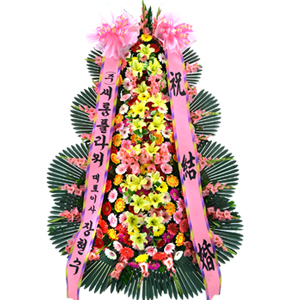 º£½ºÆ®»óǰ02