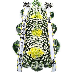 º£½ºÆ®»óǰ02