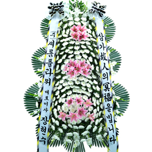 º£½ºÆ®»óǰ02