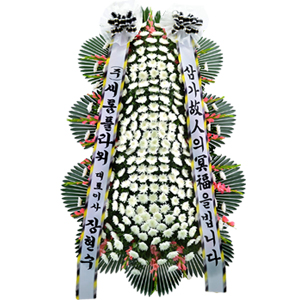 º£½ºÆ®»óǰ01