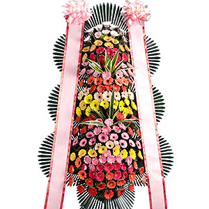 º£½ºÆ®»óǰ02